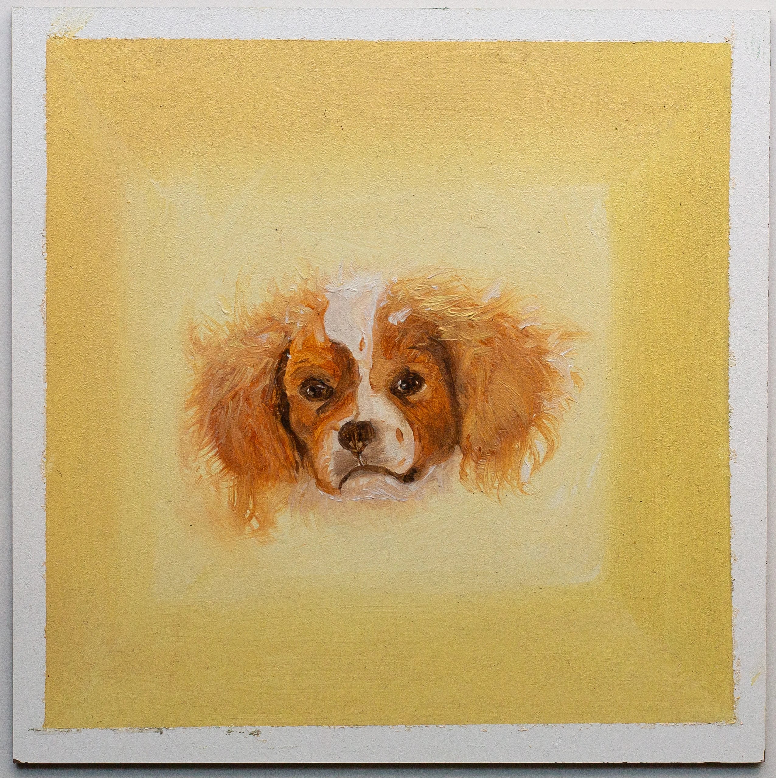 Oil portrait of a Cavalier King Charles spaniel's head, with long red-brown ears, floating in a soft yellow square.